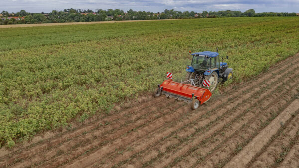 KUHN BFP - klepelmaaier voor aardappelloof