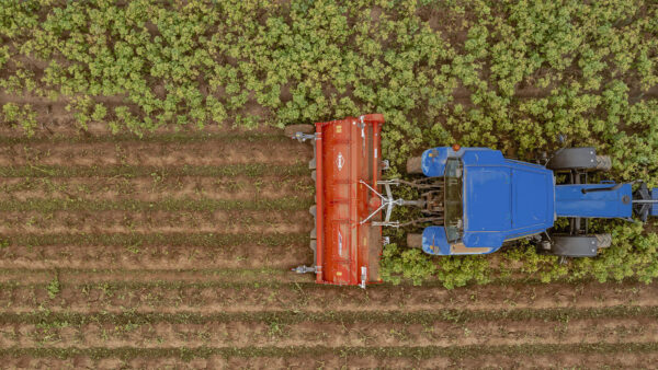KUHN BFP - klepelmaaier voor aardappelloof
