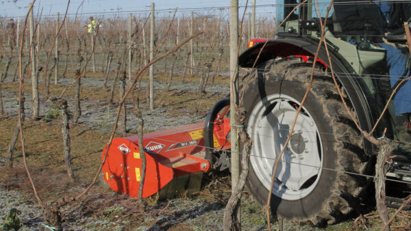 KUHN BV / BVR 100 - klepelmaaier voor wijngaarden en boomgaarden