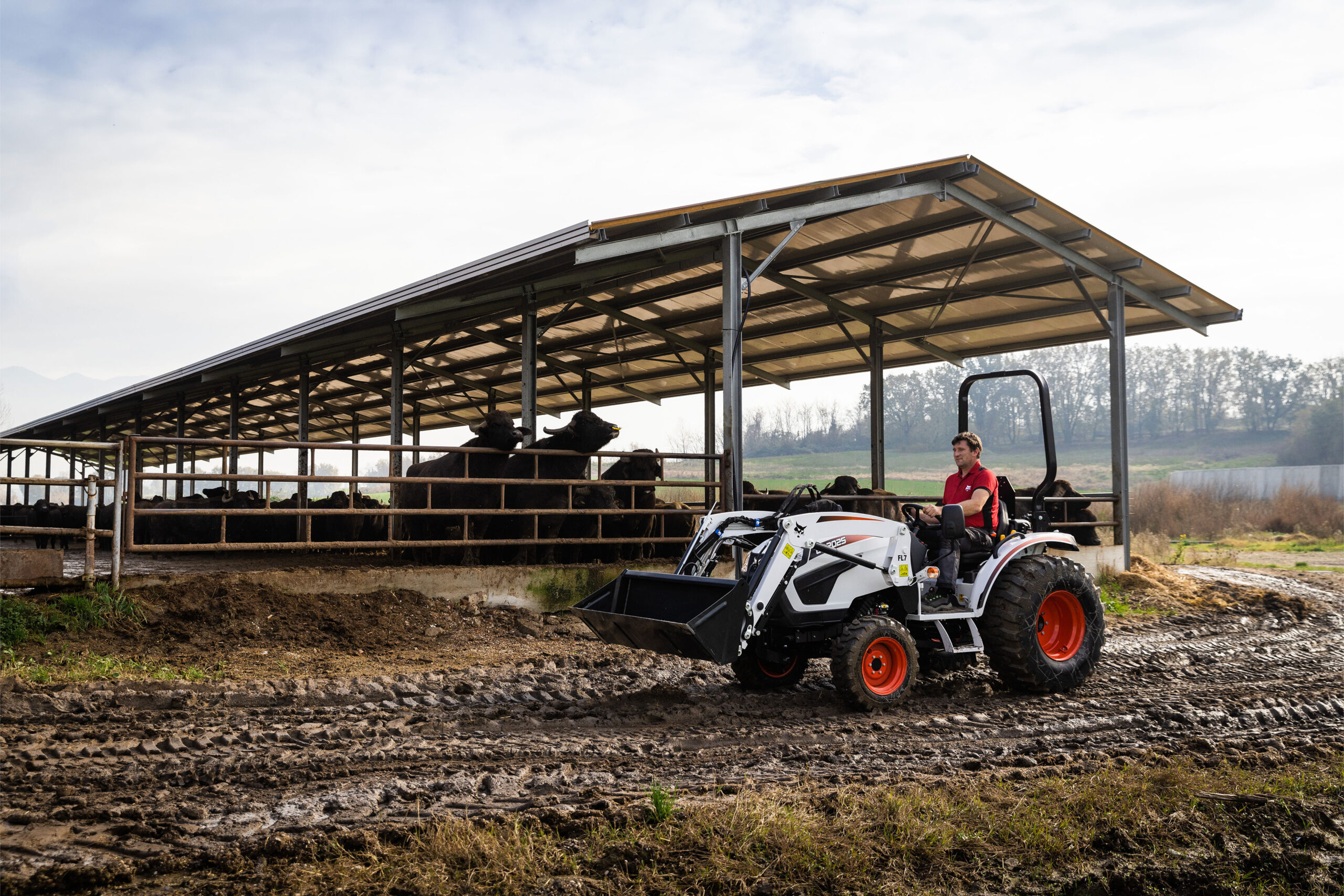 Bobcat De compacte tractor CT2025 - Afbeelding 7