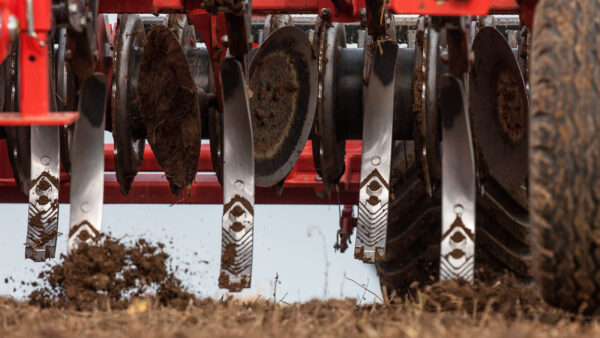 KUHN CULTIMER M / L - stoppelcultivator met tanden