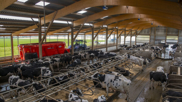 KUHN EUROMIX 3 CL - voermengwagen met drie vijzels en dwarsband
