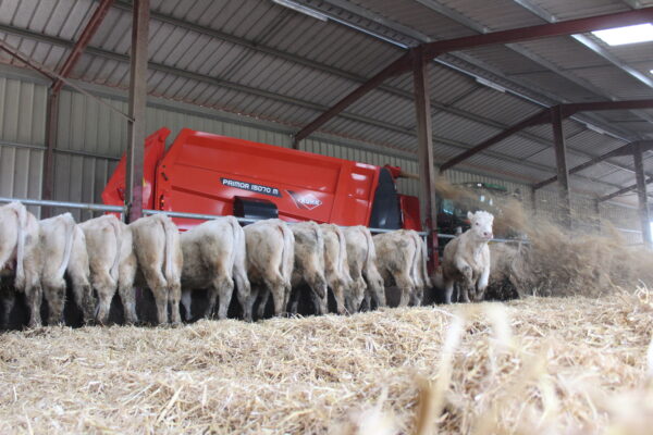 KUHN PRIMOR 15070 M - getrokken stroblazer en voerverdeler
