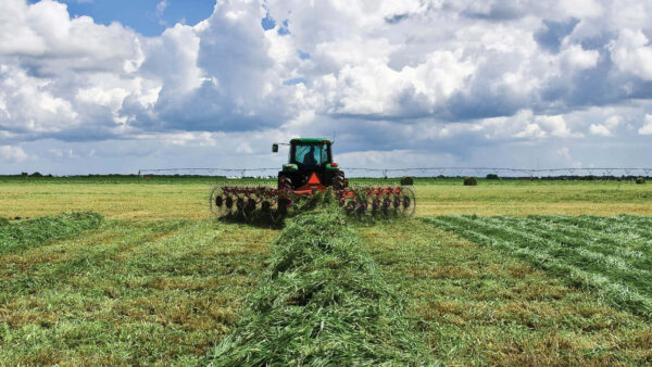 KUHN SR 300 - wielhark
