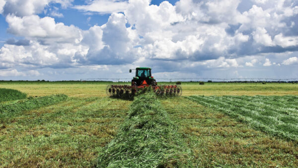KUHN SR 300 - wielhark