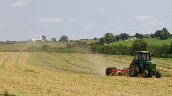 KUHN SR 50 - wielhark voor kleinere bedrijven