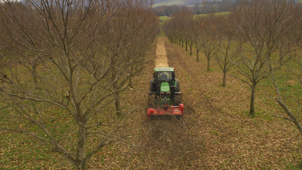 KUHN TDP 1000 - klepelmaaier voor snoeihout in boomgaarden