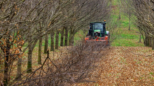 KUHN TDP 1000 - klepelmaaier voor snoeihout in boomgaarden