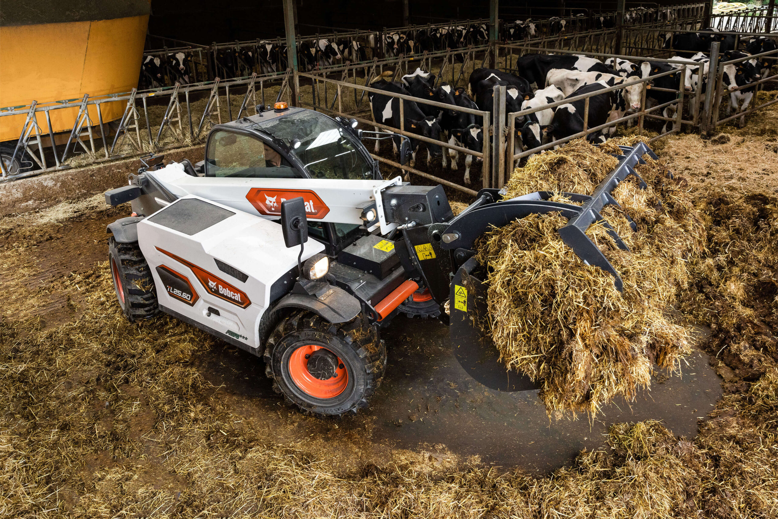 Bobcat TL25.60 Verreiker voor de landbouw - Afbeelding 3