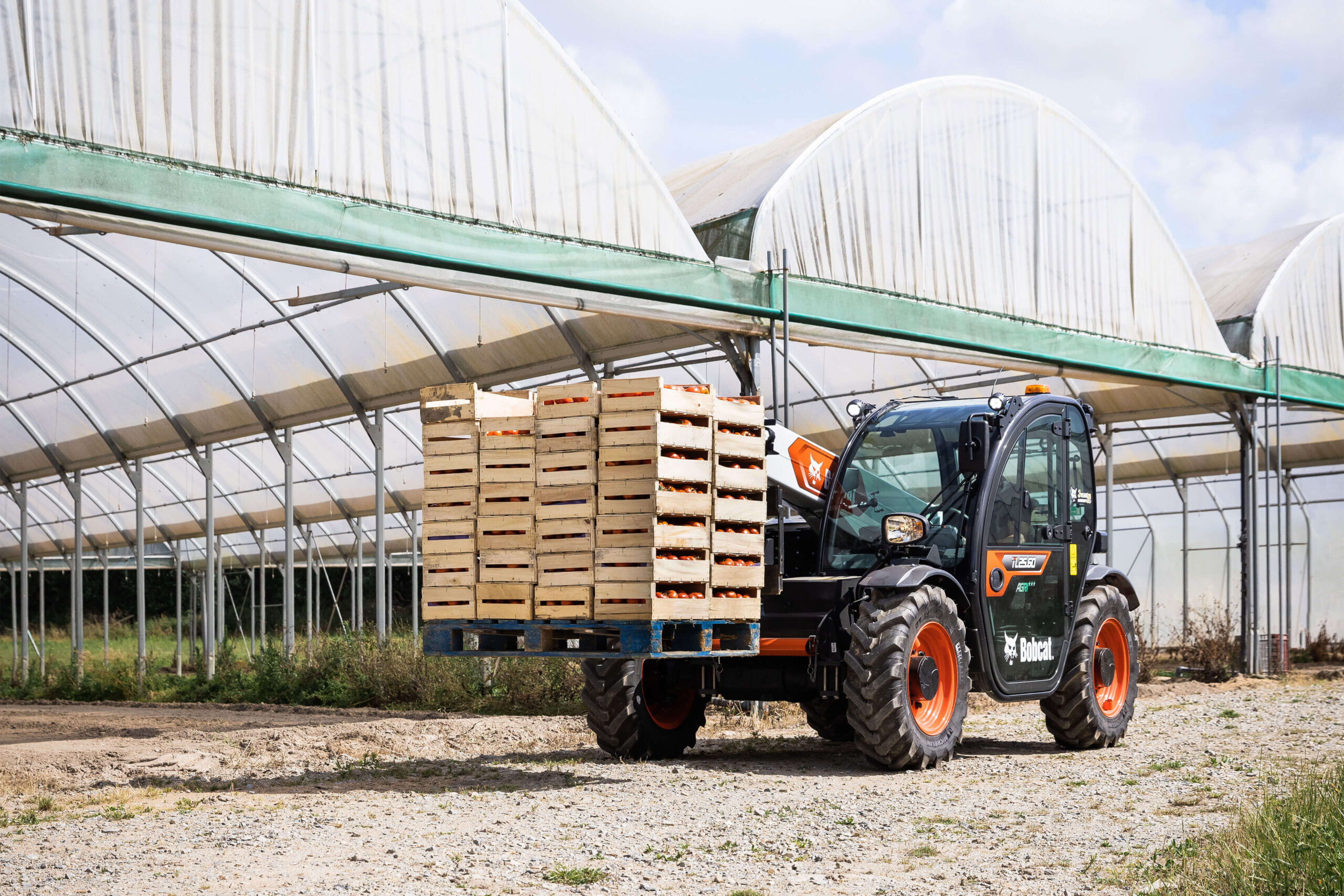 Bobcat TL25.60 Verreiker voor de landbouw - Afbeelding 5